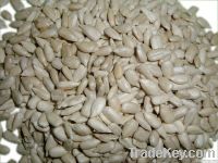 Sunflower Seeds Kernels