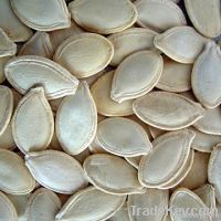 Shine Skin Pumpkin Seeds New Crops