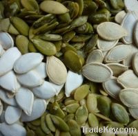 Pumpkin Seeds Kernels