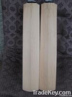 Custom Cricket Bat