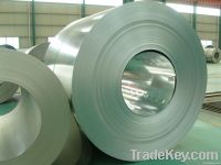 Hot-Dipped Galvanized Steel Coil