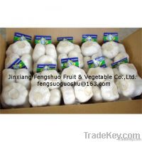 China Garlic