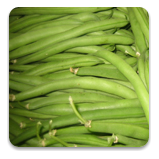 Green Beans