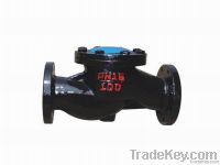check valve