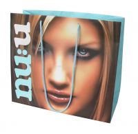paper bag-2
