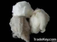 Pure Dehaired Cashmere Fibre For Spnning