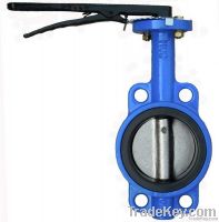 type A concentric butterfly valve