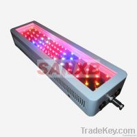 Grow Light 100W LED 