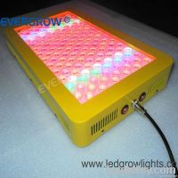 LED Grow Light 300W 