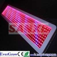 LED Grow Light 400W 