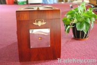 18L thermoelectric portable car cooler From China