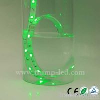 2012 new saving energy 12v led waterproof light strip