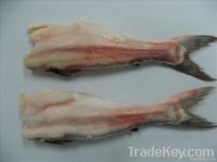 Whole Fish, Headless, Skinless (CB