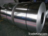 Galvanized sheet