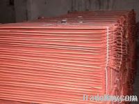 Copper Cathode