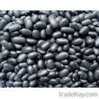 BLACK BEANS FOR SALE