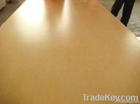 Yellow Film Shuttering Plywood