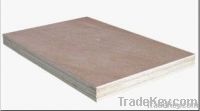 MERANTI PLYWOOD