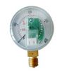 CNG Pressure Gauge