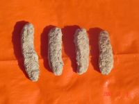 Dried Curry Fish