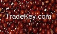 red pigeon peas