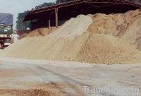 SawDust   (Bura)