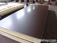black/brown film faced plywood