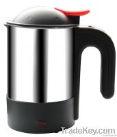 Stainless Steel Electric Kettle