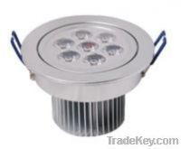 LED Down Light