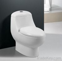 5525 One-piece toilet