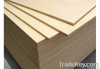 Commercial Plywood