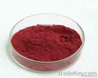 Grape Seed P.E.