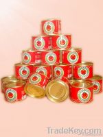 TOMATO PASTE 70G From China