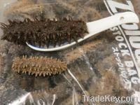 Dried Sea Cucumber