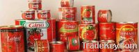 400g28~30% tomato paste