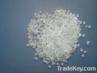 Polypropylene (PP