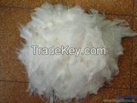 Polypropylene Fiber (PPF)