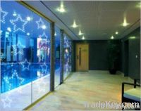 LED Decoration Glass (Interior-Exterior)