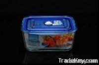 Glass Food Storage (Airtight)