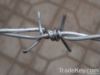 barbed wire