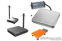 Bench Scales