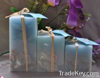 Seashell candles