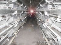 H type battery cage