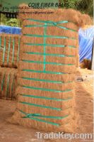 coconut coir fiber