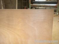 poplar core okoume plywood