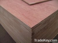 bintangor plywood for outdoor use