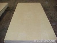 birch plywood