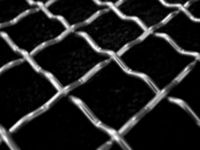 crimped wire mesh