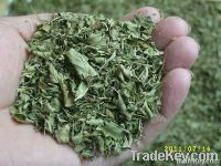 https://cn.tradekey.com/product_view/2011-New-Crop-Green-And-Natural-Oregano-Leaves-1821584.html