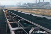 Nylon Conveyor Belt (NN)